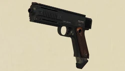 AP Pistol 配图