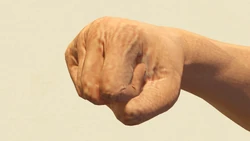 Fist 配图