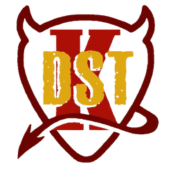 K-DST 配图