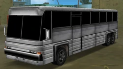 Coach 配图